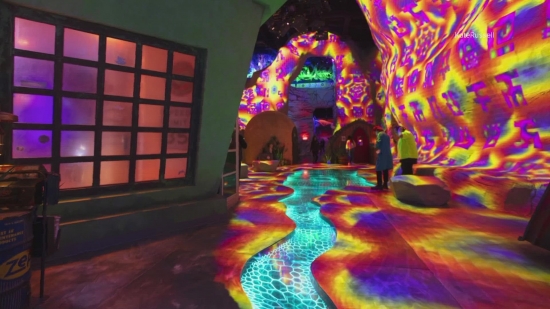 Meow Wolf: as son las exposiciones inmersivas ms alucinantes del mundo